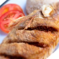 Mojarra roja